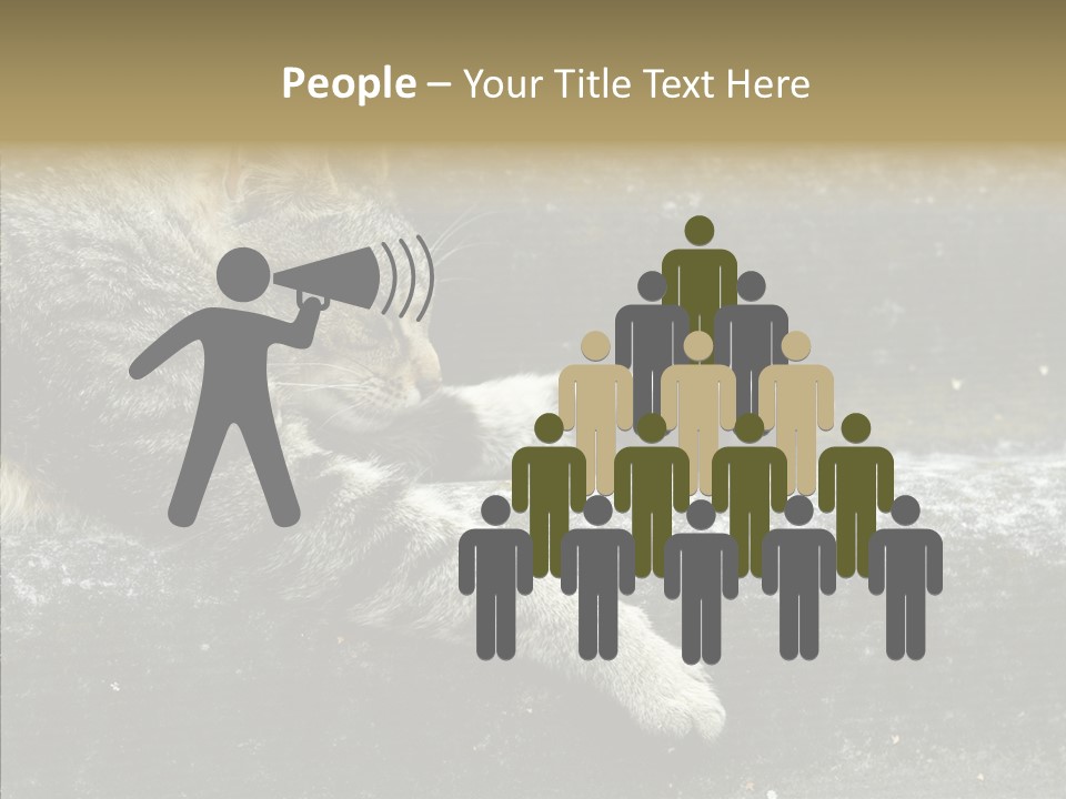 Down Sleep Domestic PowerPoint Template