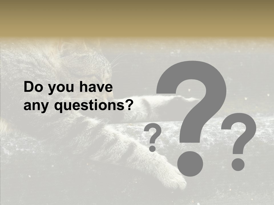 Down Sleep Domestic PowerPoint Template