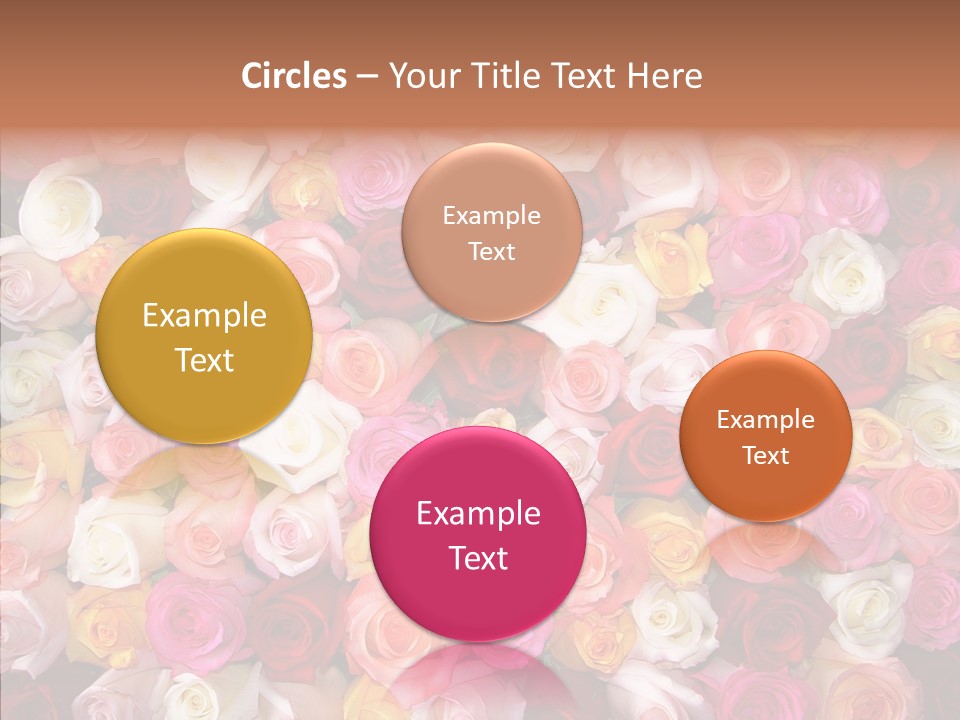 Spring Elegance Petals PowerPoint Template