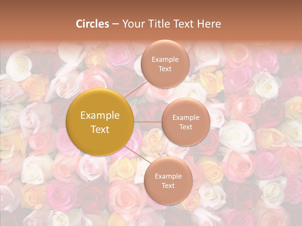 Spring Elegance Petals PowerPoint Template