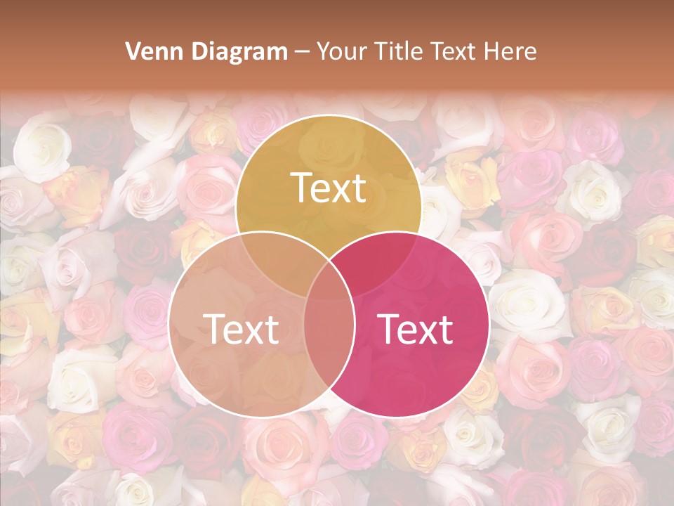 Spring Elegance Petals PowerPoint Template