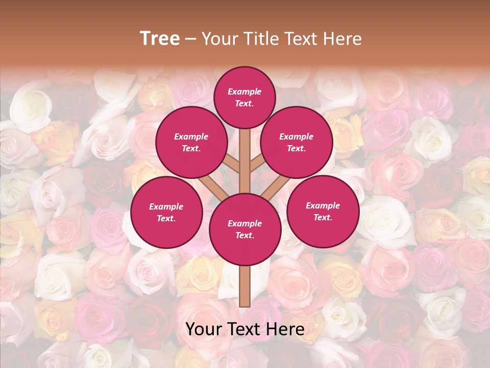 Spring Elegance Petals PowerPoint Template