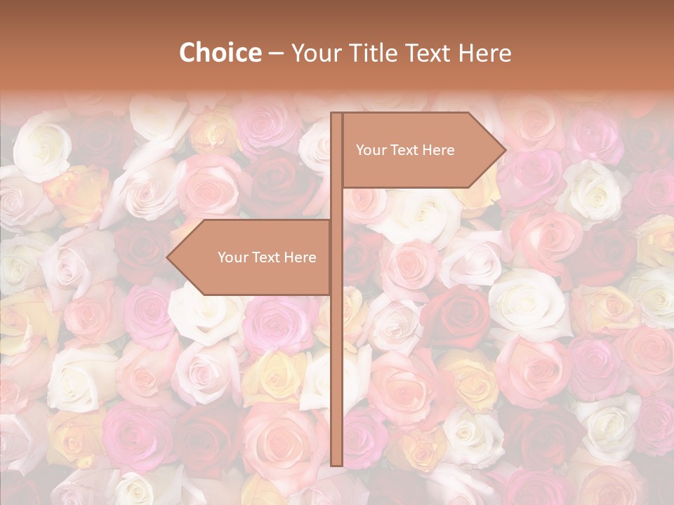 Spring Elegance Petals PowerPoint Template