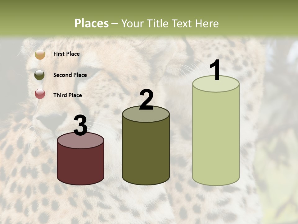 Cheetah Closeup Nature PowerPoint Template