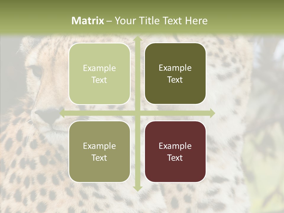 Cheetah Closeup Nature PowerPoint Template