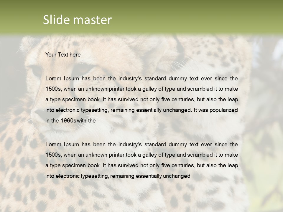 Cheetah Closeup Nature PowerPoint Template