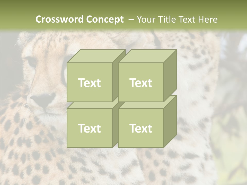 Cheetah Closeup Nature PowerPoint Template