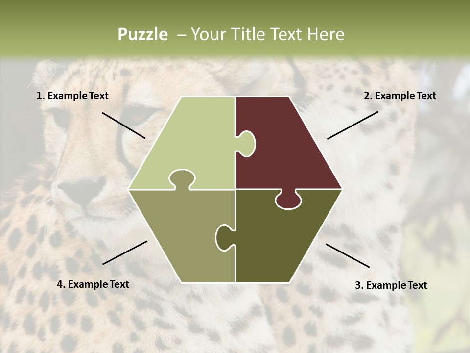 Cheetah Closeup Nature PowerPoint Template