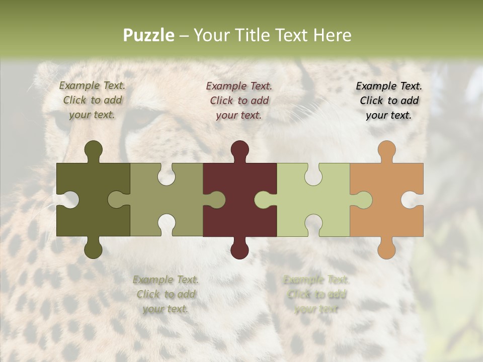 Cheetah Closeup Nature PowerPoint Template