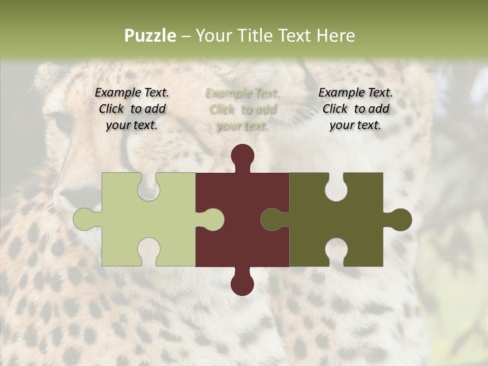 Cheetah Closeup Nature PowerPoint Template
