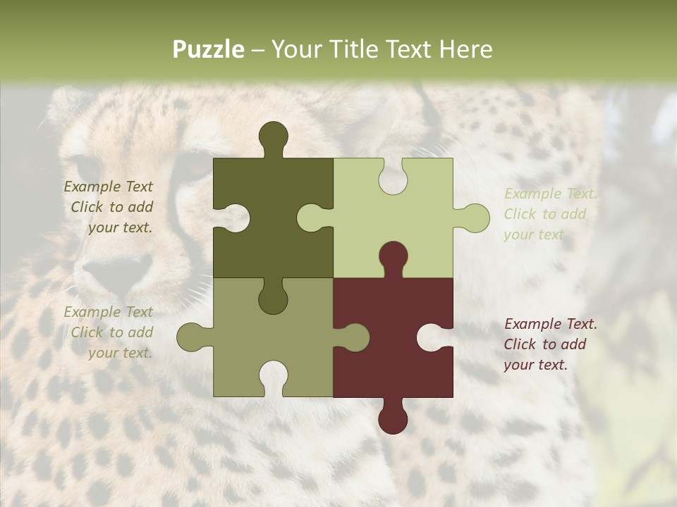 Cheetah Closeup Nature PowerPoint Template
