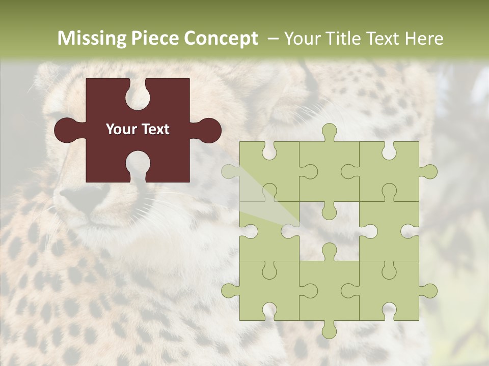 Cheetah Closeup Nature PowerPoint Template