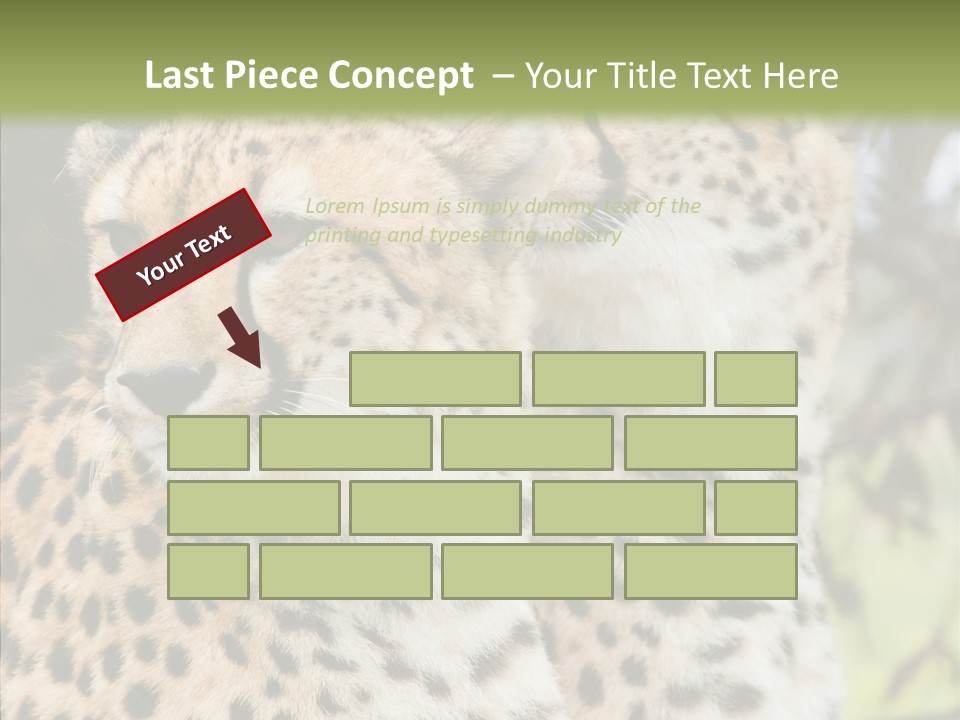 Cheetah Closeup Nature PowerPoint Template