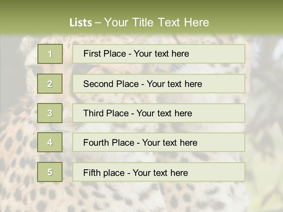 Cheetah Closeup Nature PowerPoint Template