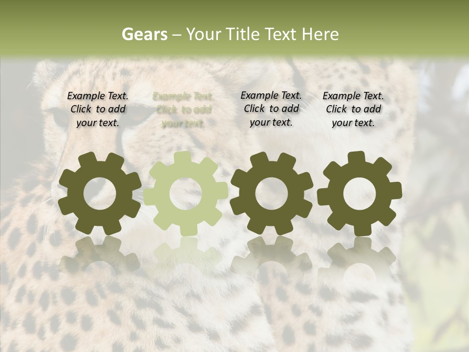 Cheetah Closeup Nature PowerPoint Template