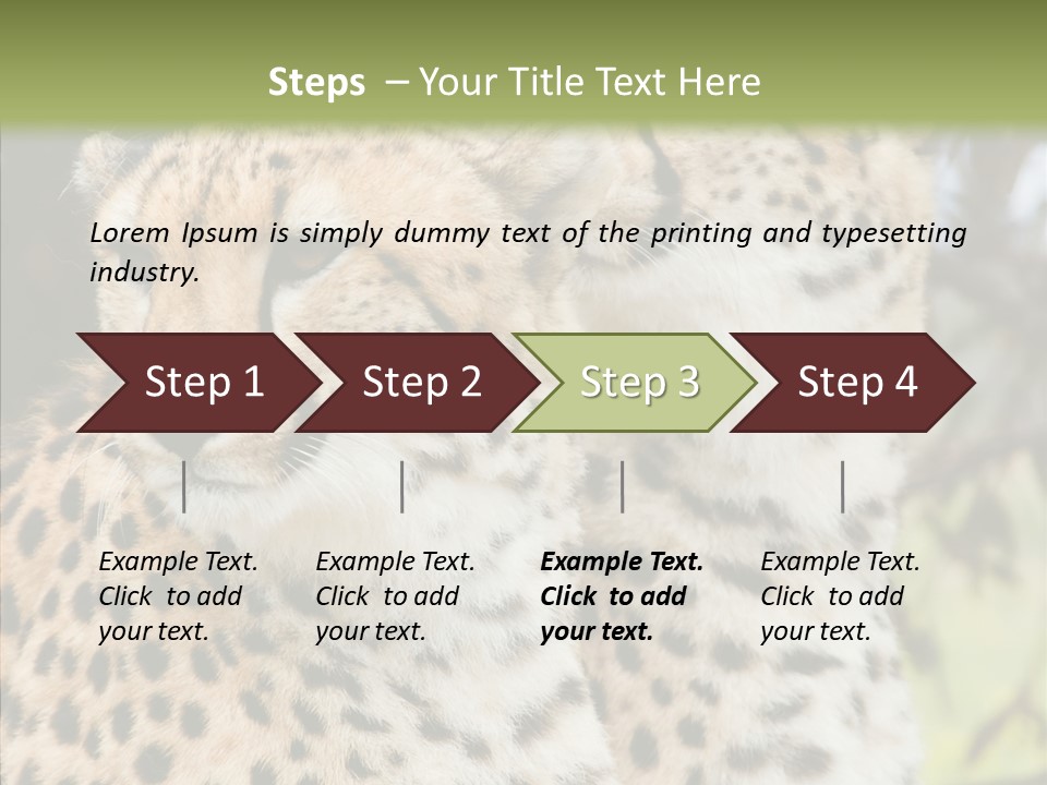 Cheetah Closeup Nature PowerPoint Template