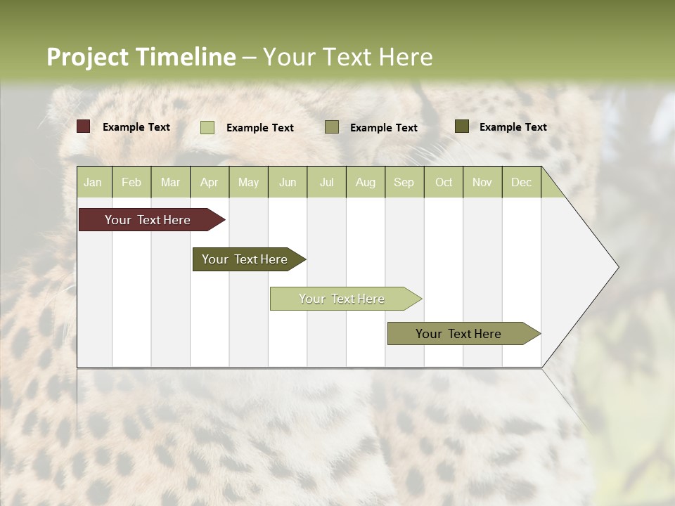 Cheetah Closeup Nature PowerPoint Template