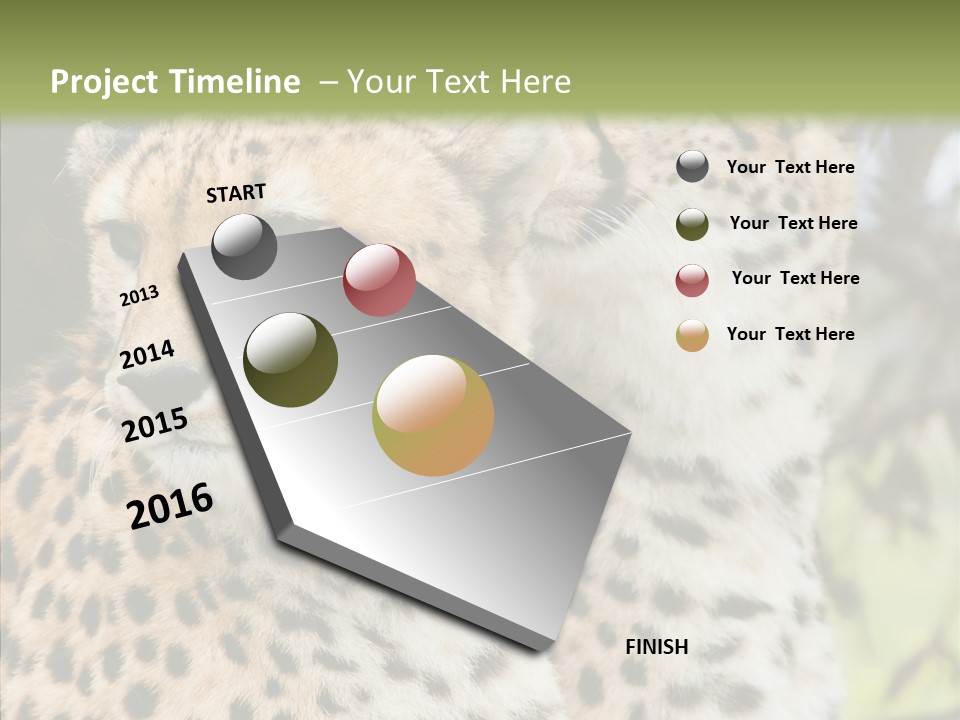 Cheetah Closeup Nature PowerPoint Template