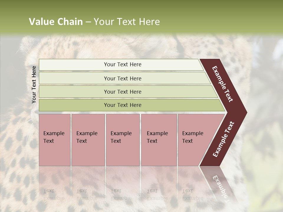 Cheetah Closeup Nature PowerPoint Template