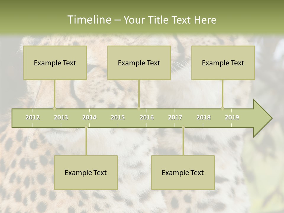Cheetah Closeup Nature PowerPoint Template