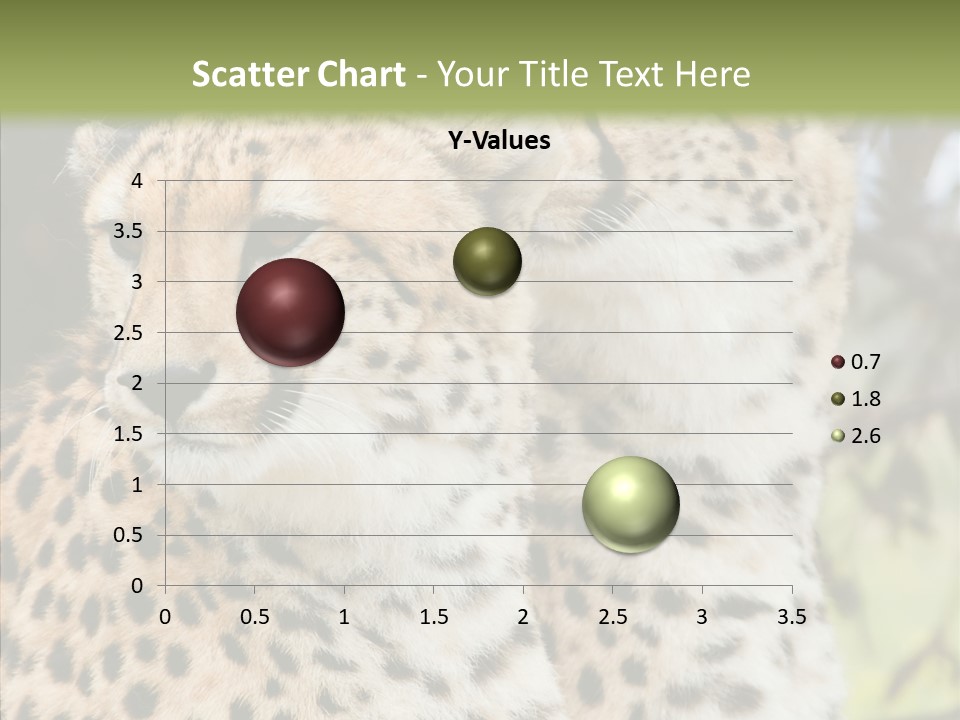 Cheetah Closeup Nature PowerPoint Template