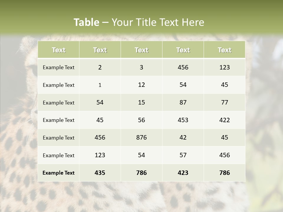 Cheetah Closeup Nature PowerPoint Template