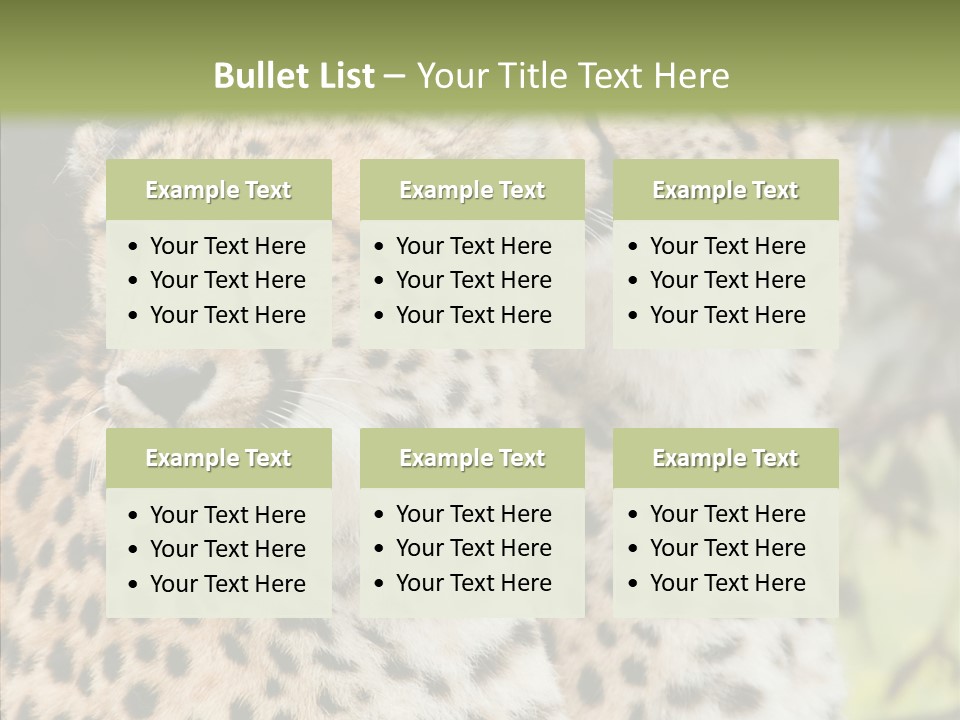 Cheetah Closeup Nature PowerPoint Template