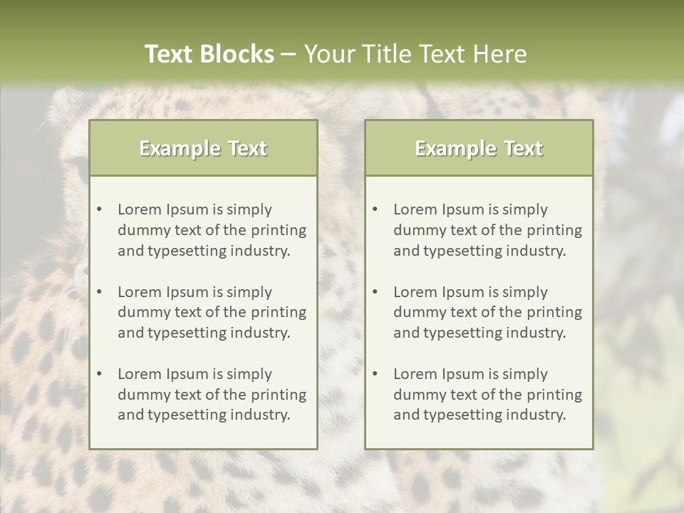 Cheetah Closeup Nature PowerPoint Template
