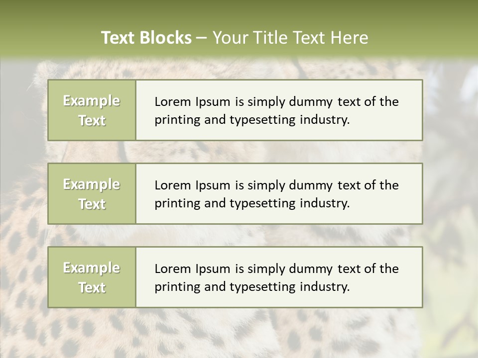 Cheetah Closeup Nature PowerPoint Template