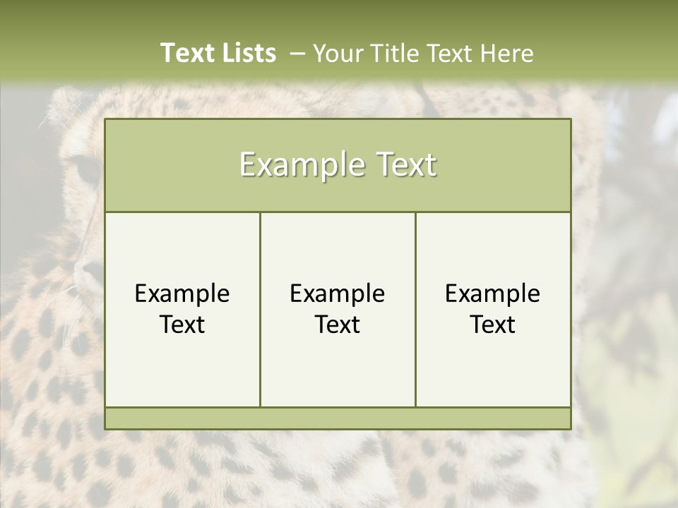 Cheetah Closeup Nature PowerPoint Template