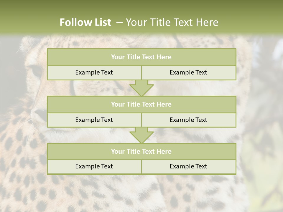 Cheetah Closeup Nature PowerPoint Template