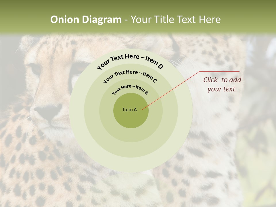 Cheetah Closeup Nature PowerPoint Template