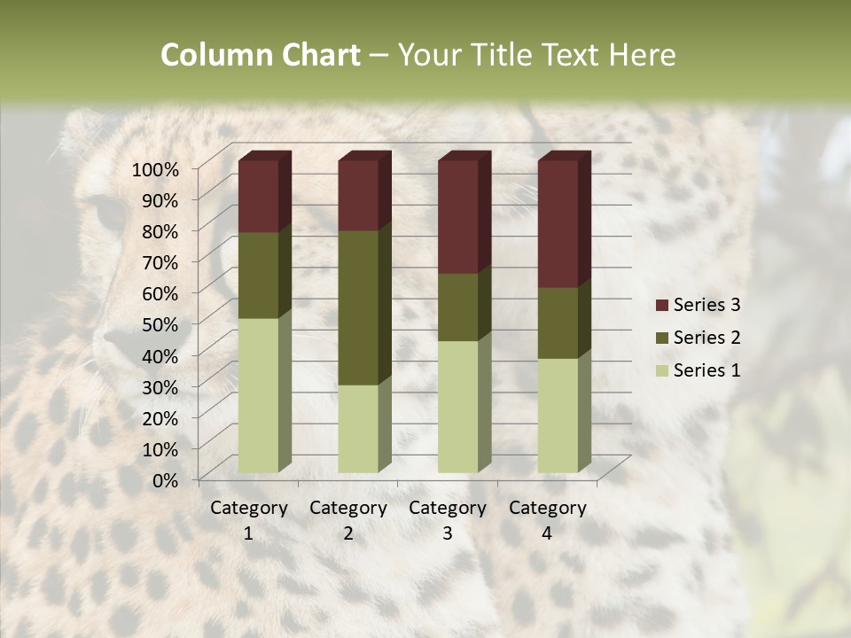 Cheetah Closeup Nature PowerPoint Template