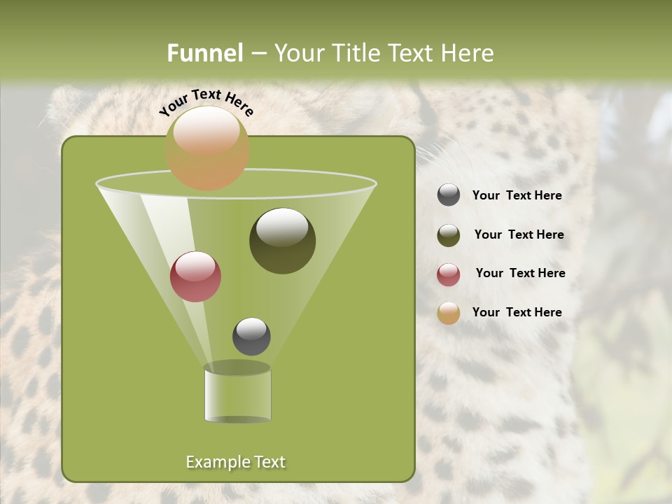 Cheetah Closeup Nature PowerPoint Template