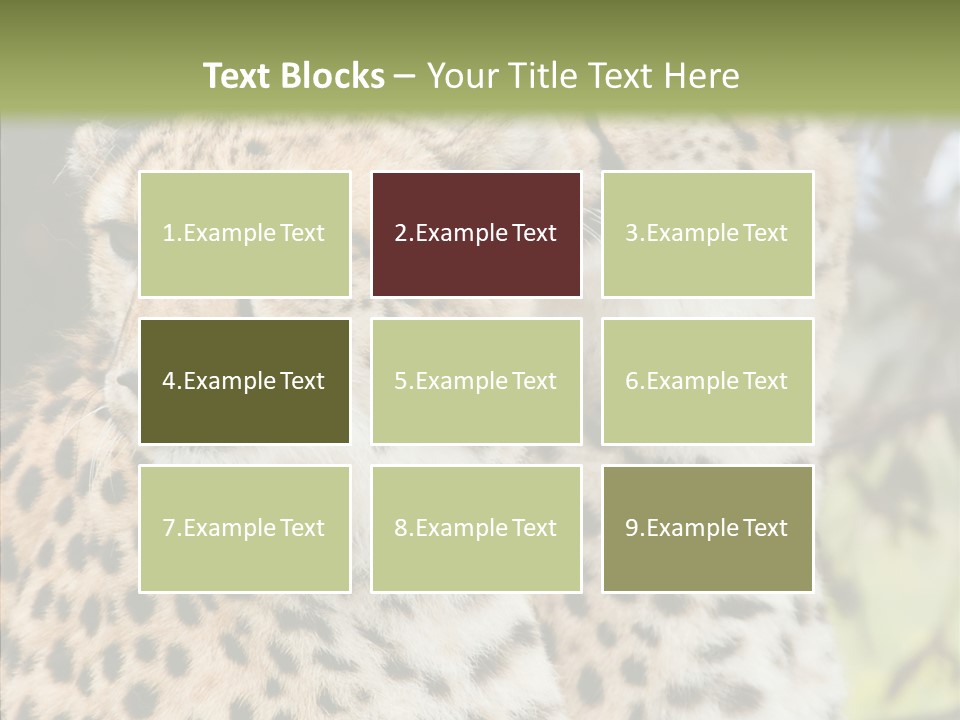 Cheetah Closeup Nature PowerPoint Template