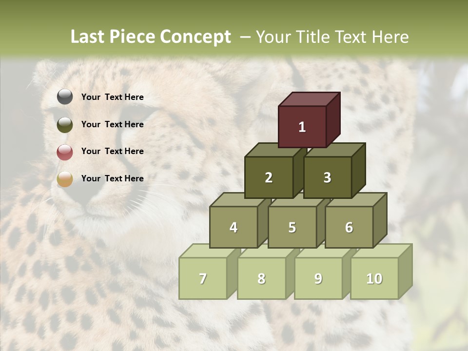 Cheetah Closeup Nature PowerPoint Template