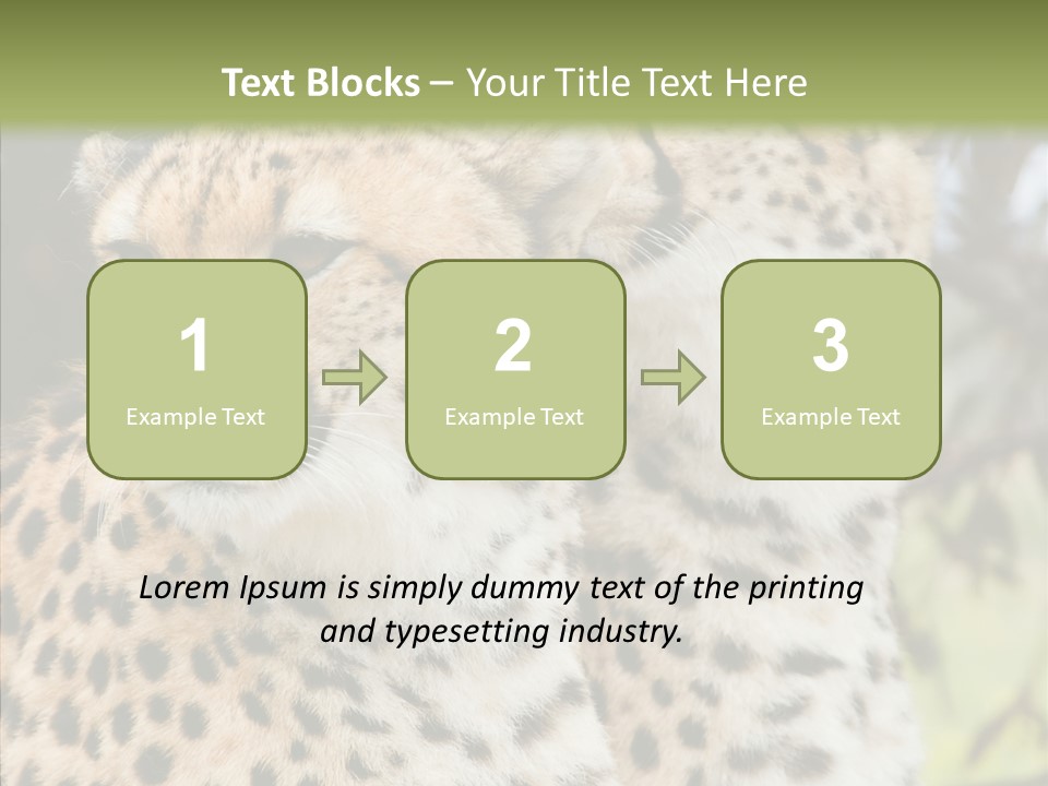 Cheetah Closeup Nature PowerPoint Template