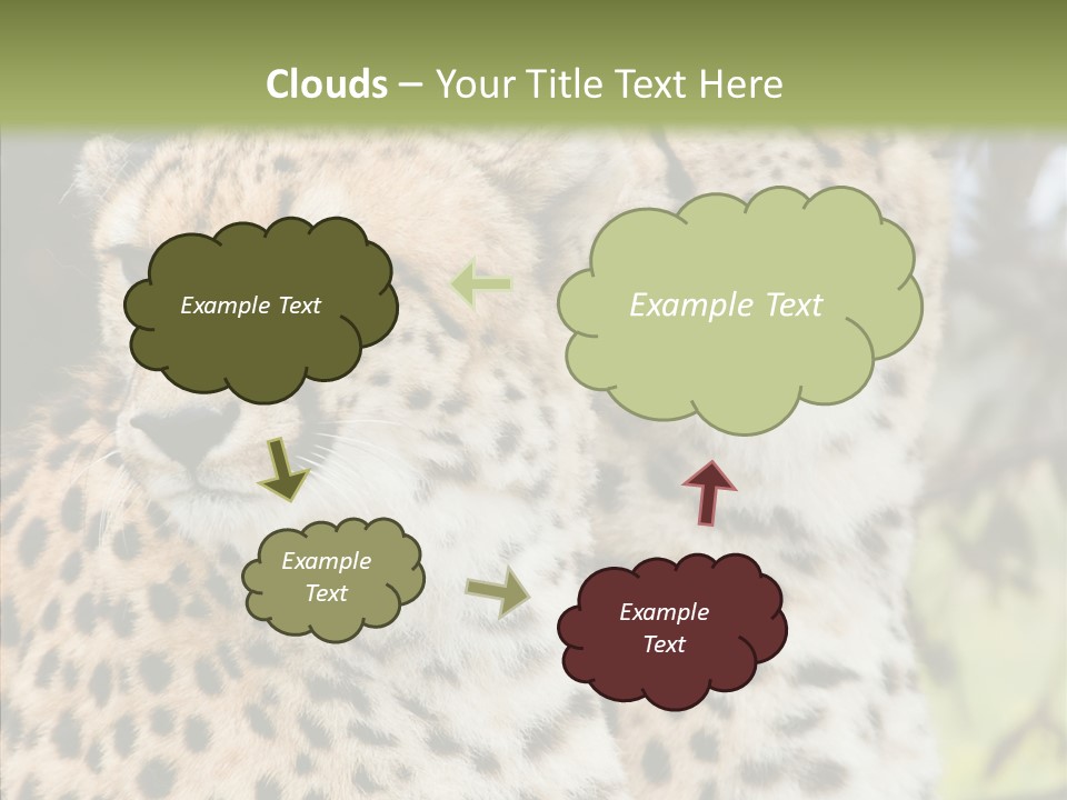 Cheetah Closeup Nature PowerPoint Template