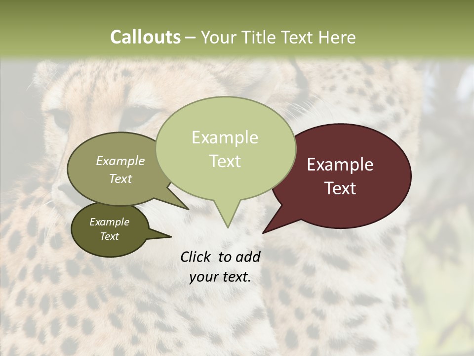 Cheetah Closeup Nature PowerPoint Template