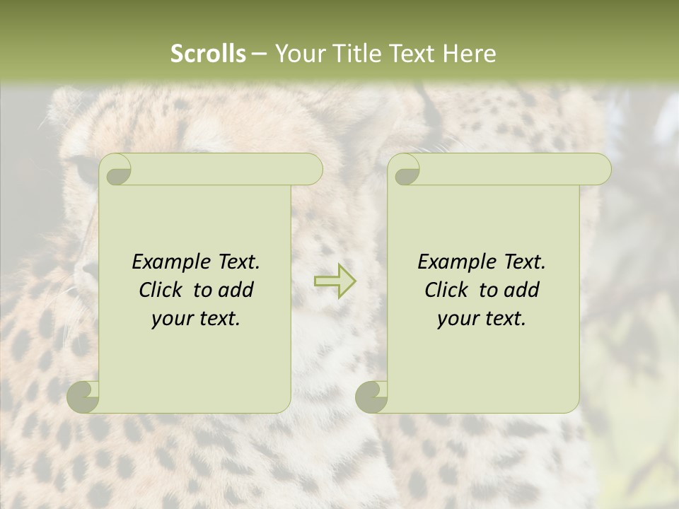Cheetah Closeup Nature PowerPoint Template