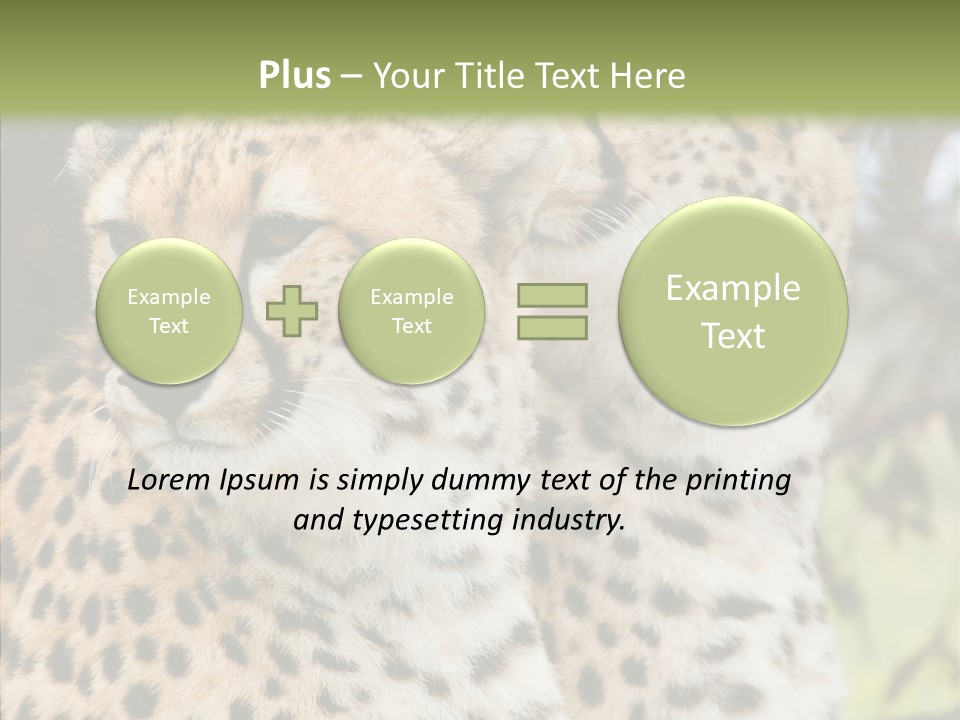 Cheetah Closeup Nature PowerPoint Template