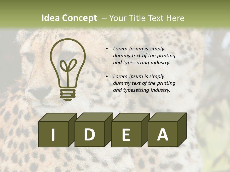 Cheetah Closeup Nature PowerPoint Template