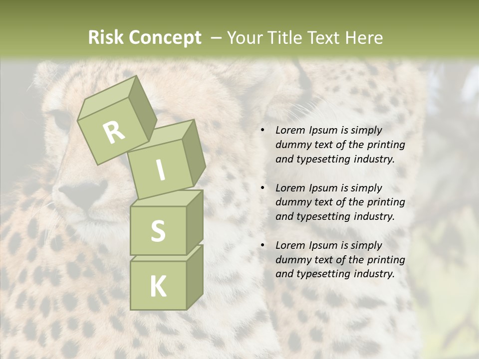 Cheetah Closeup Nature PowerPoint Template