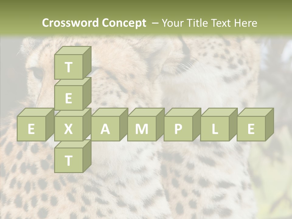 Cheetah Closeup Nature PowerPoint Template