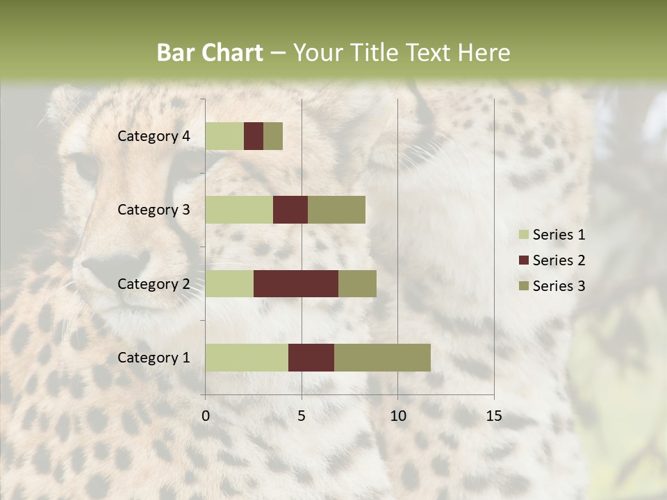 Cheetah Closeup Nature PowerPoint Template