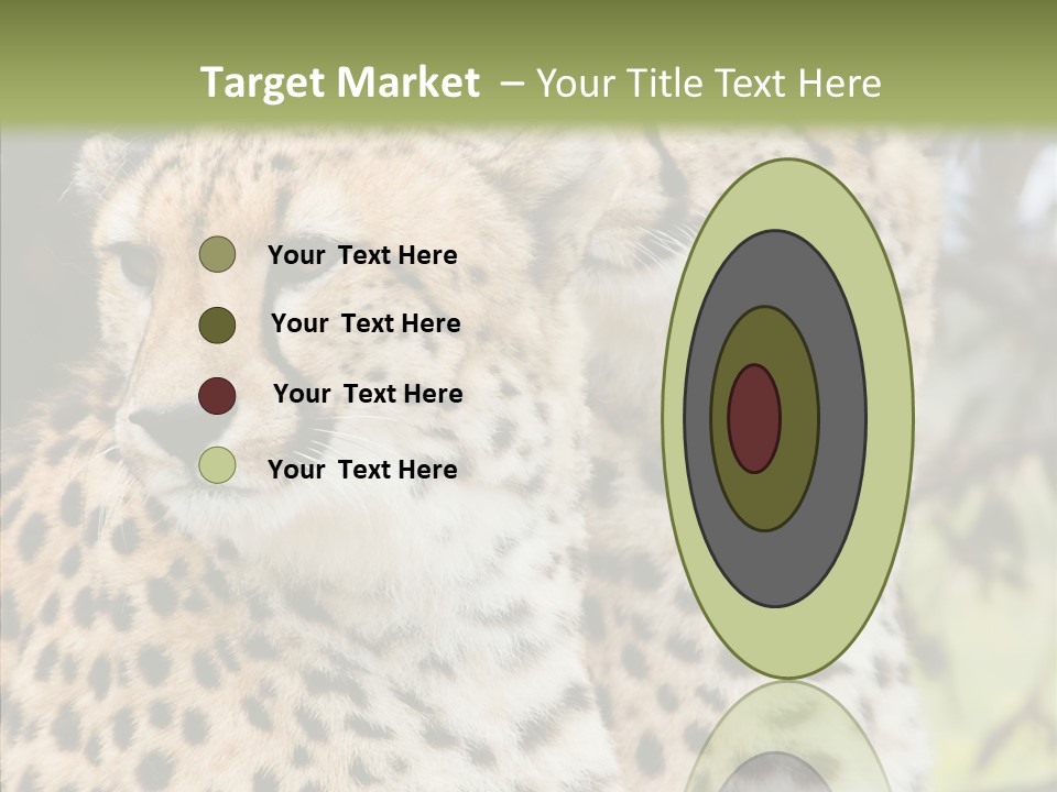 Cheetah Closeup Nature PowerPoint Template