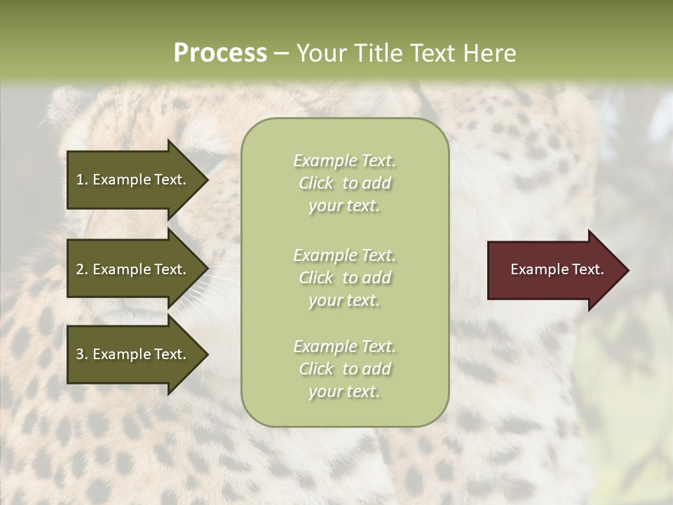 Cheetah Closeup Nature PowerPoint Template