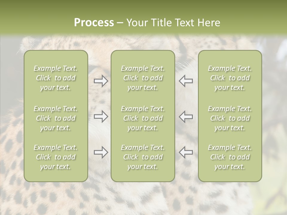 Cheetah Closeup Nature PowerPoint Template