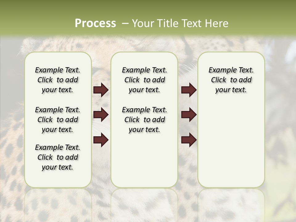 Cheetah Closeup Nature PowerPoint Template