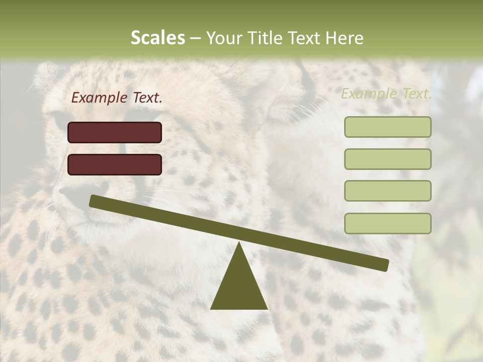 Cheetah Closeup Nature PowerPoint Template